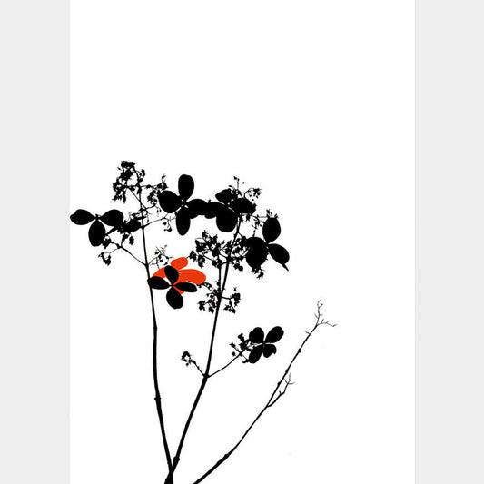 花びら (Open Edition)