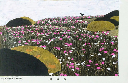 明治神宮 菖浦田