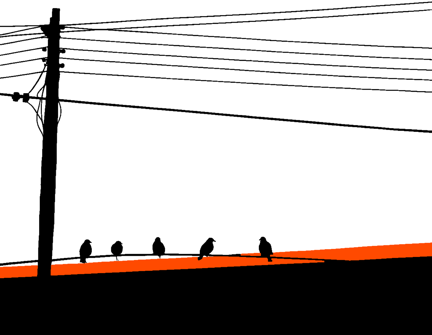 電線の鳥 #001