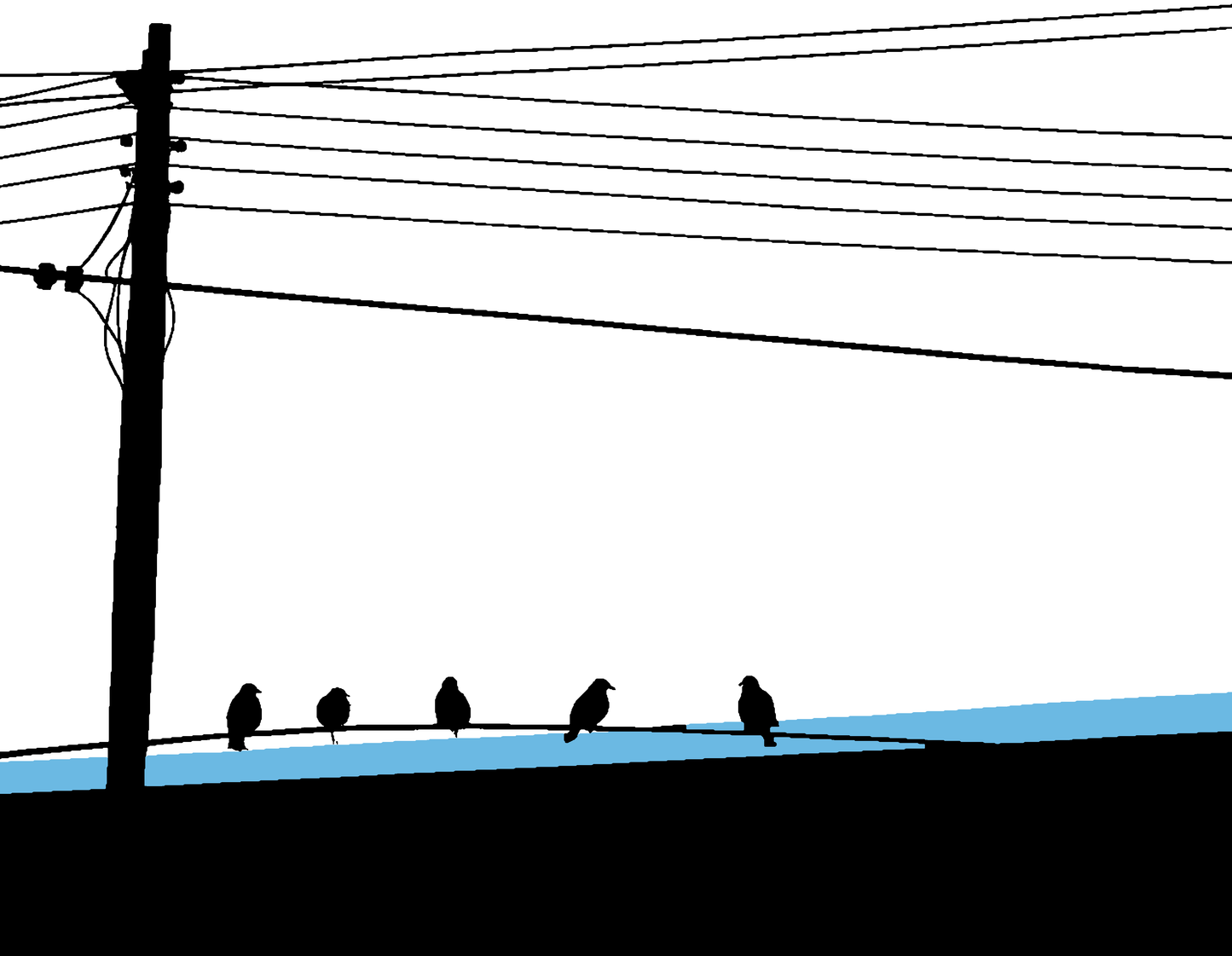 電線の鳥 #002