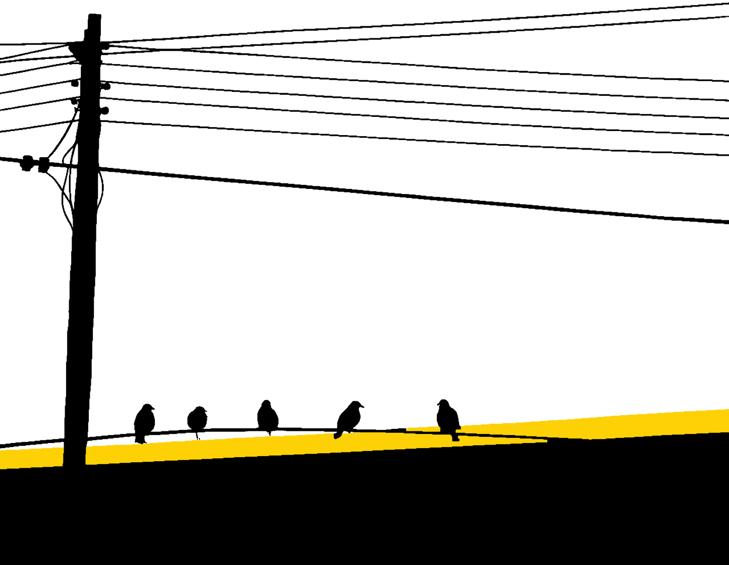 電線の鳥 #003